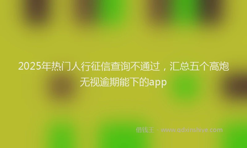 2025年热门人行征信查询不通过，汇总五个高炮无视逾期能下的app