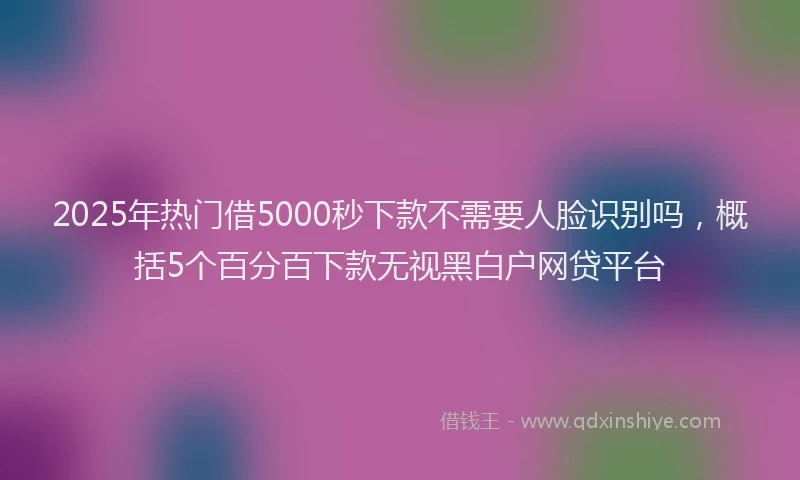 2025年热门借5000秒下款不需要人脸识别吗，概括5个百分百下款无视黑白户网贷平台