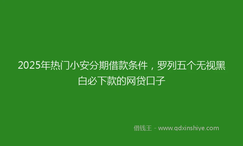 2025年热门小安分期借款条件，罗列五个无视黑白必下款的网贷口子