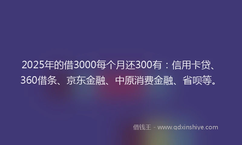 2025年的借3000每个月还300有：信用卡贷、360借条、京东金融、中原消费金融、省呗等。