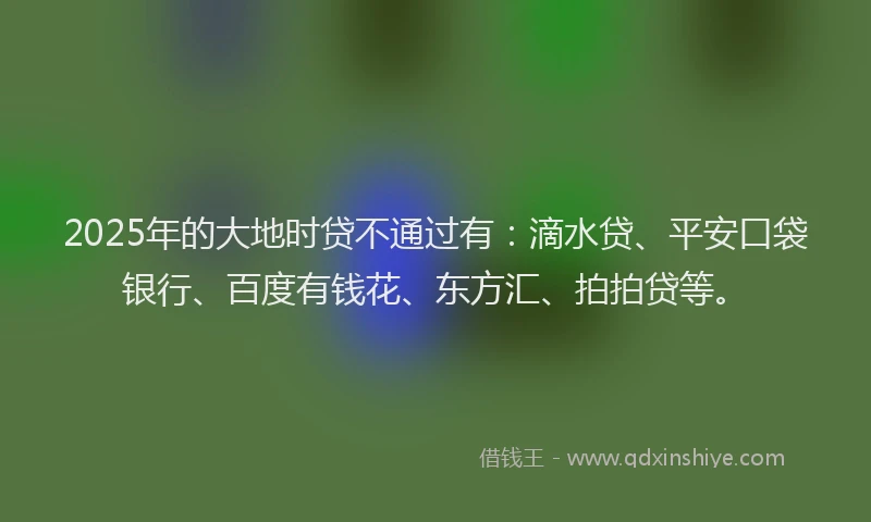 2025年的大地时贷不通过有：滴水贷、平安口袋银行、百度有钱花、东方汇、拍拍贷等。