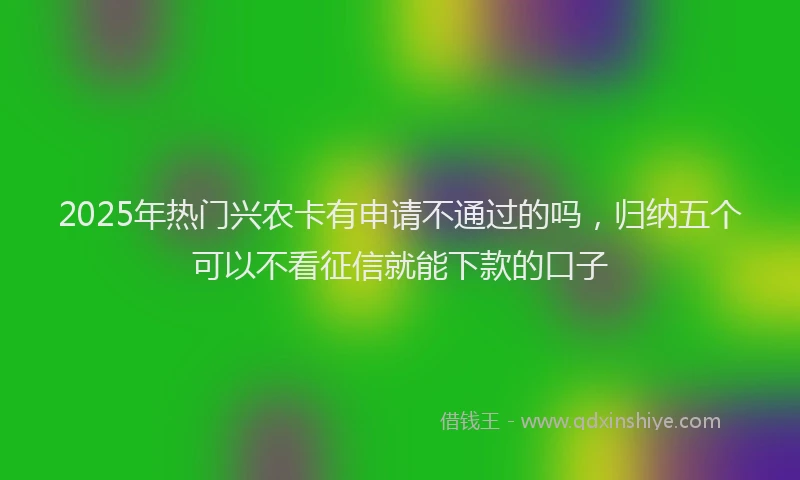 2025年热门兴农卡有申请不通过的吗，归纳五个可以不看征信就能下款的口子