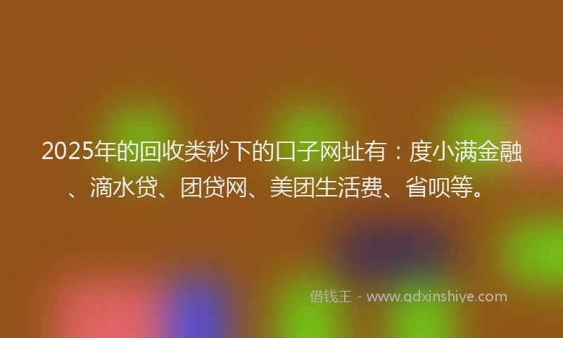 2025年的回收类秒下的口子网址有：度小满金融、滴水贷、团贷网、美团生活费、省呗等。