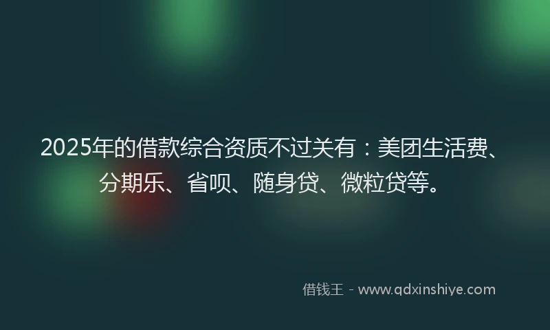 2025年的借款综合资质不过关有：美团生活费、分期乐、省呗、随身贷、微粒贷等。