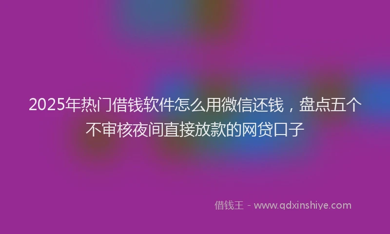2025年热门借钱软件怎么用微信还钱，盘点五个不审核夜间直接放款的网贷口子