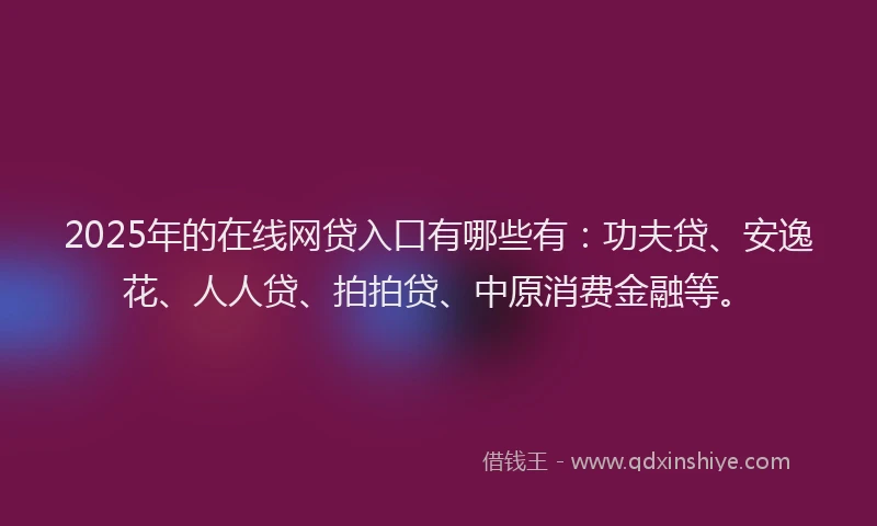 2025年的在线网贷入口有哪些有：功夫贷、安逸花、人人贷、拍拍贷、中原消费金融等。