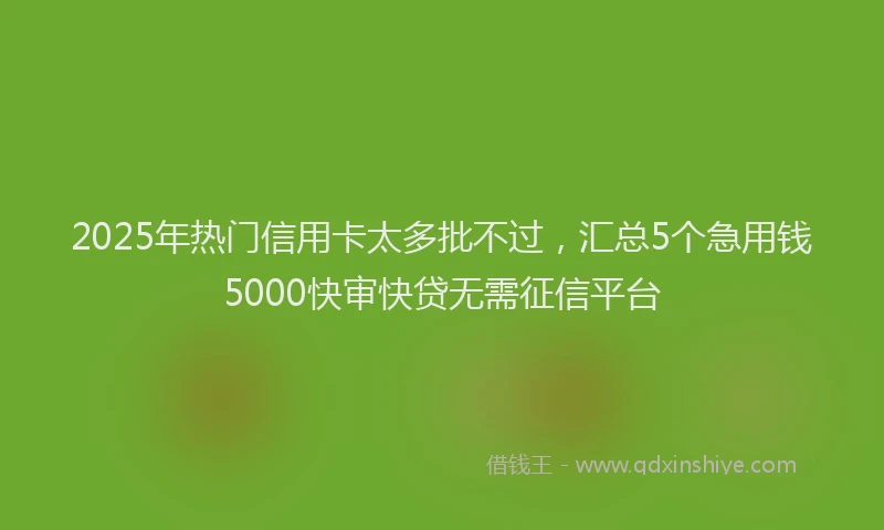 2025年热门信用卡太多批不过，汇总5个急用钱5000快审快贷无需征信平台
