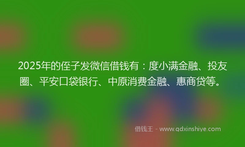 2025年的侄子发微信借钱有：度小满金融、投友圈、平安口袋银行、中原消费金融、惠商贷等。