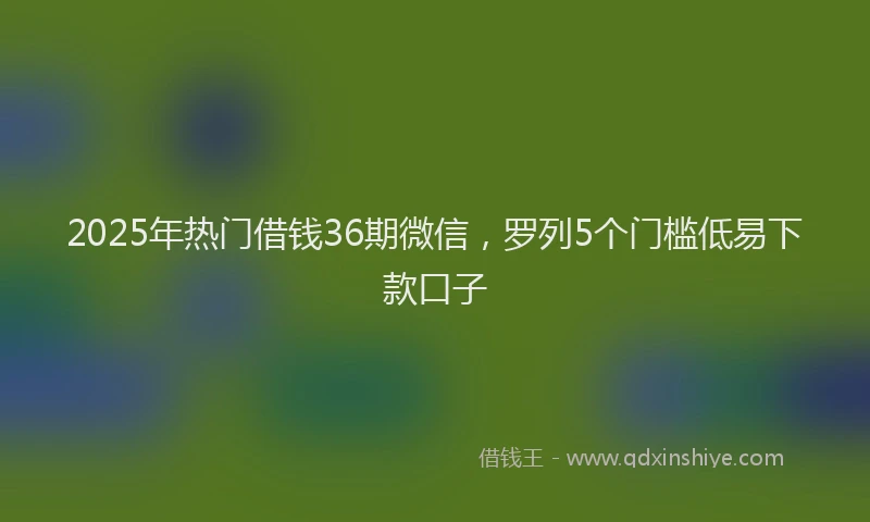 2025年热门借钱36期微信，罗列5个门槛低易下款口子