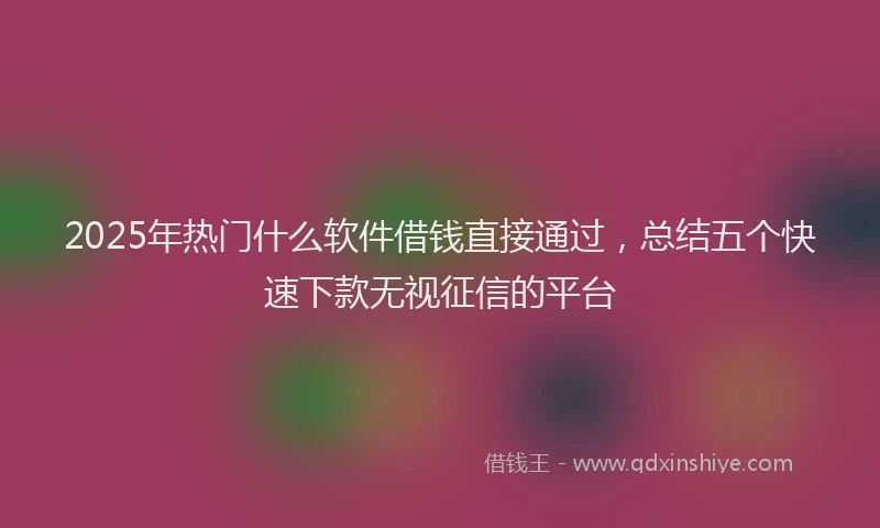 2025年热门什么软件借钱直接通过，总结五个快速下款无视征信的平台