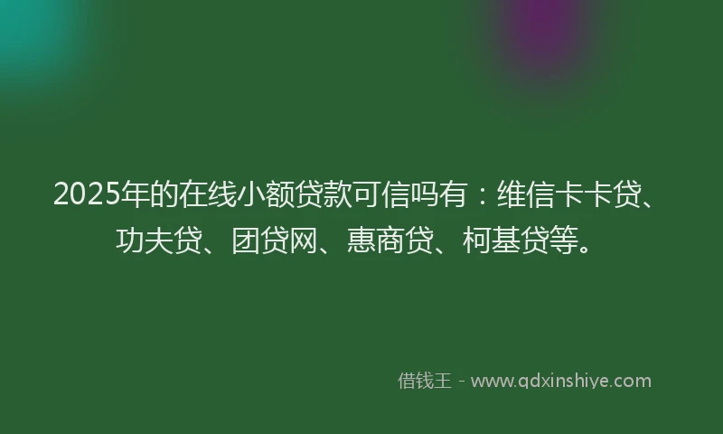 2025年的在线小额贷款可信吗有：维信卡卡贷、功夫贷、团贷网、惠商贷、柯基贷等。