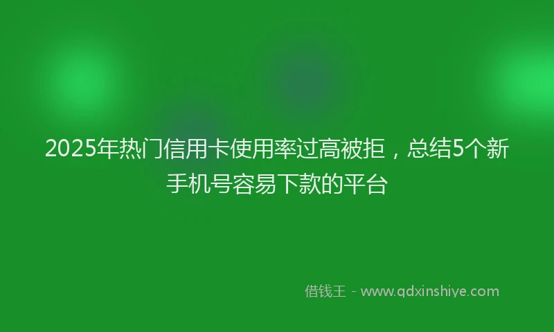 2025年热门信用卡使用率过高被拒，总结5个新手机号容易下款的平台