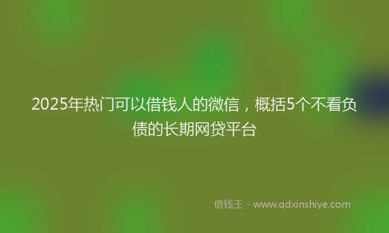 2025年热门可以借钱人的微信，概括5个不看负债的长期网贷平台