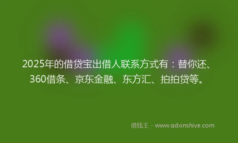 2025年的借贷宝出借人联系方式有：替你还、360借条、京东金融、东方汇、拍拍贷等。