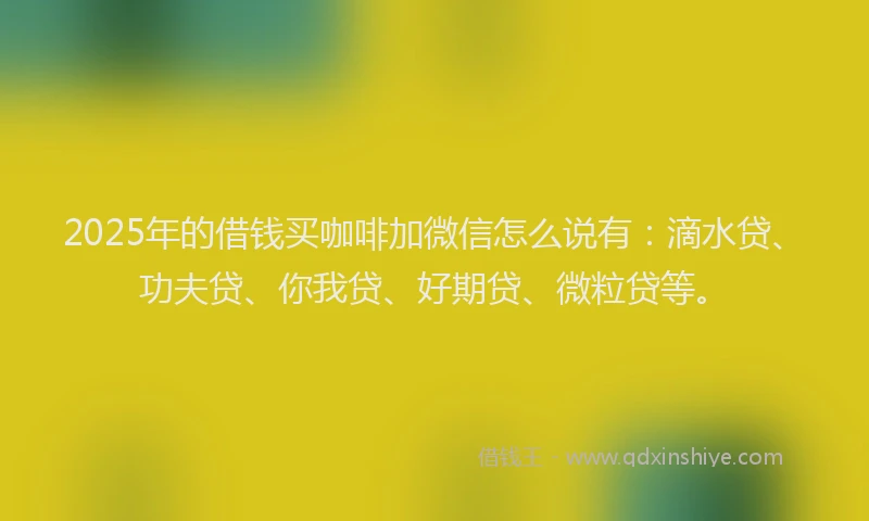 2025年的借钱买咖啡加微信怎么说有：滴水贷、功夫贷、你我贷、好期贷、微粒贷等。