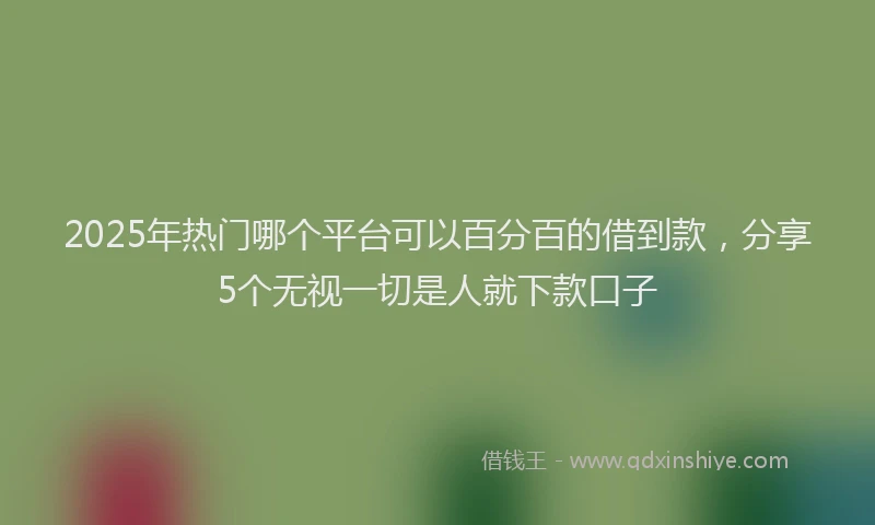 2025年热门哪个平台可以百分百的借到款，分享5个无视一切是人就下款口子