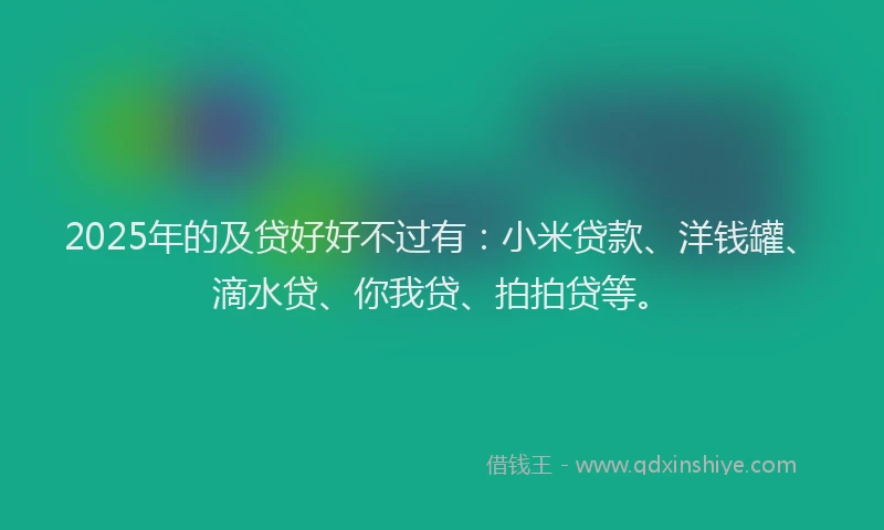 2025年的及贷好好不过有：小米贷款、洋钱罐、滴水贷、你我贷、拍拍贷等。