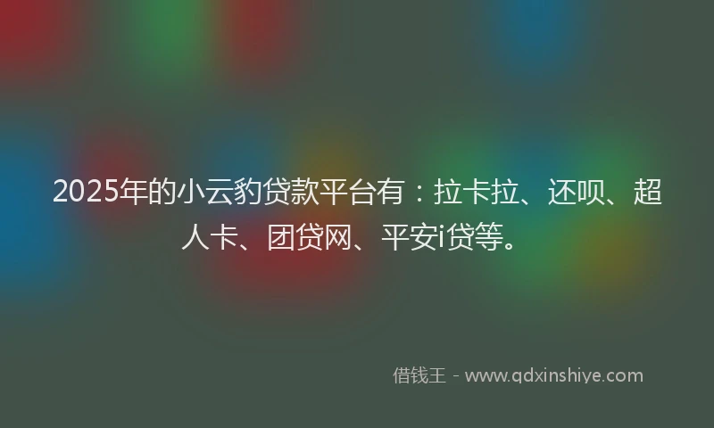 2025年的小云豹贷款平台有：拉卡拉、还呗、超人卡、团贷网、平安i贷等。