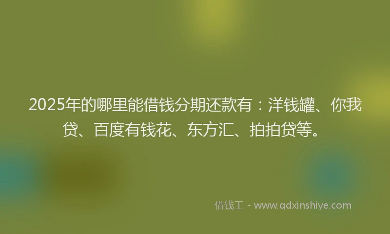 2025年的哪里能借钱分期还款有：洋钱罐、你我贷、百度有钱花、东方汇、拍拍贷等。