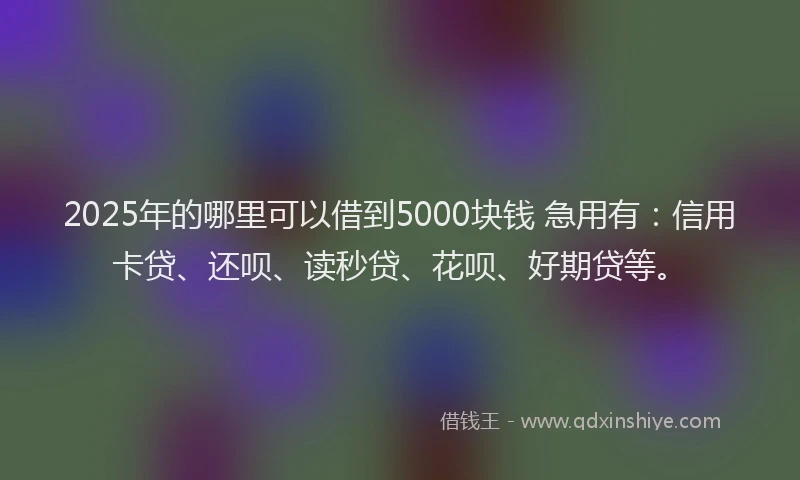 2025年的哪里可以借到5000块钱 急用有：信用卡贷、还呗、读秒贷、花呗、好期贷等。