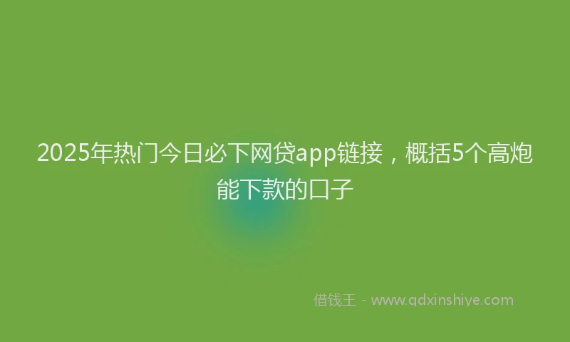 2025年热门今日必下网贷app链接，概括5个高炮能下款的口子