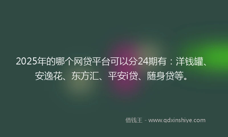 2025年的哪个网贷平台可以分24期有：洋钱罐、安逸花、东方汇、平安i贷、随身贷等。