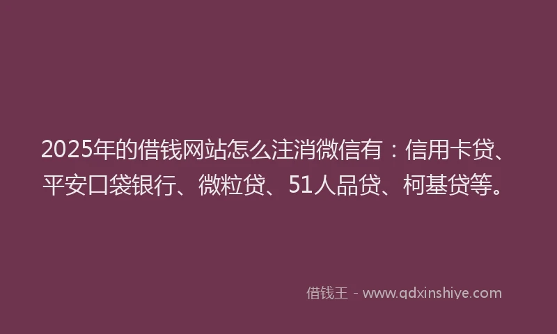 2025年的借钱网站怎么注消微信有：信用卡贷、平安口袋银行、微粒贷、51人品贷、柯基贷等。