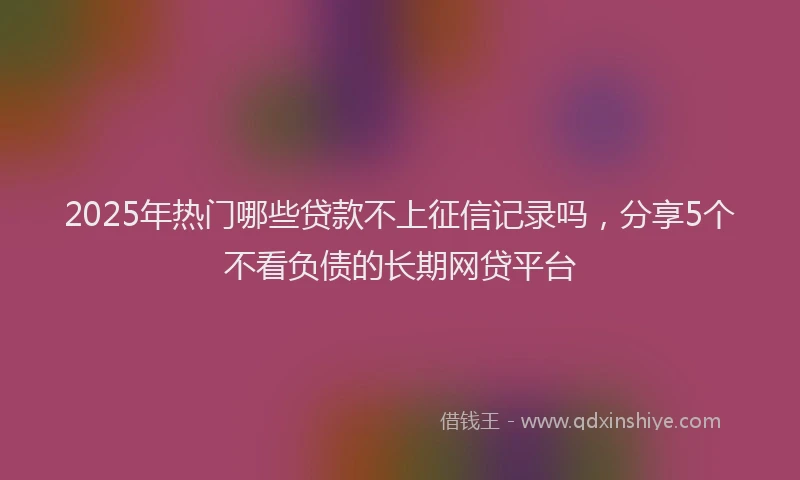 2025年热门哪些贷款不上征信记录吗，分享5个不看负债的长期网贷平台