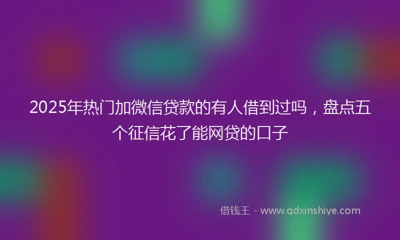 2025年热门加微信贷款的有人借到过吗，盘点五个征信花了能网贷的口子