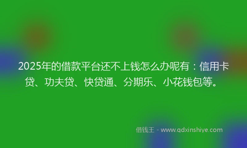 2025年的借款平台还不上钱怎么办呢有：信用卡贷、功夫贷、快贷通、分期乐、小花钱包等。