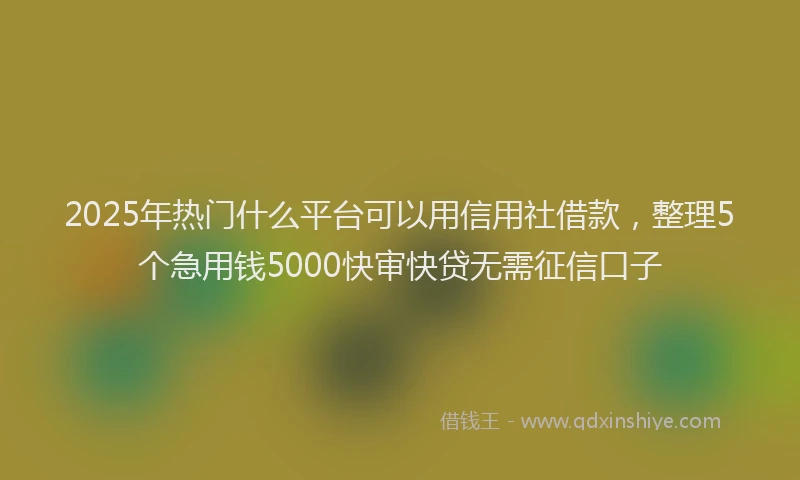 2025年热门什么平台可以用信用社借款，整理5个急用钱5000快审快贷无需征信口子