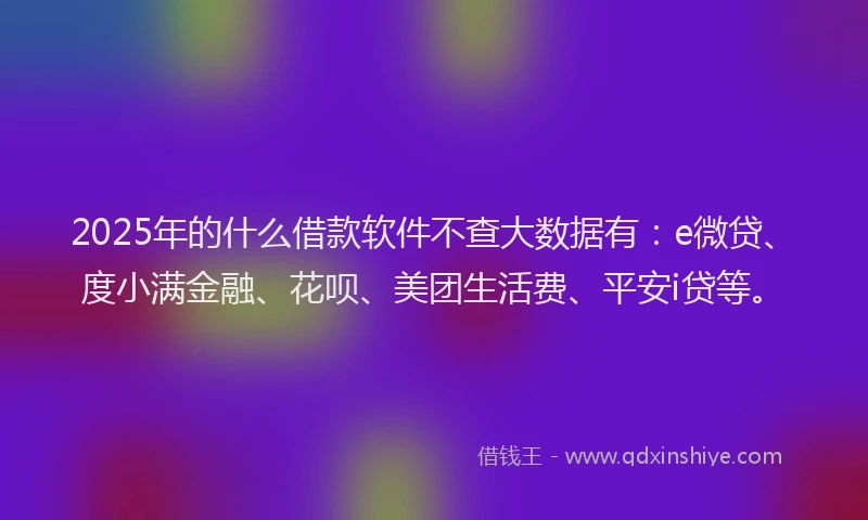 2025年的什么借款软件不查大数据有：e微贷、度小满金融、花呗、美团生活费、平安i贷等。