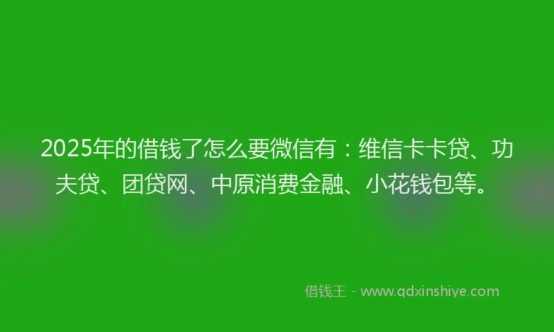 2025年的借钱了怎么要微信有：维信卡卡贷、功夫贷、团贷网、中原消费金融、小花钱包等。