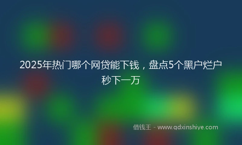 2025年热门哪个网贷能下钱，盘点5个黑户烂户秒下一万