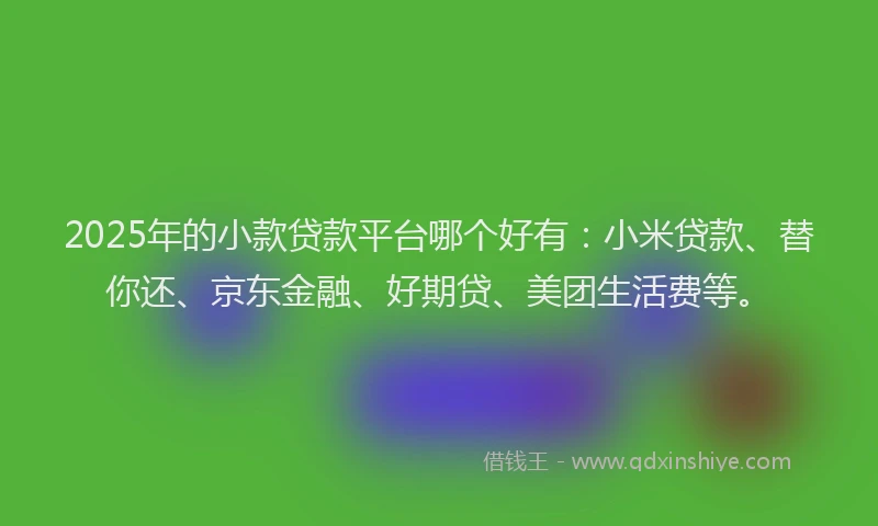 2025年的小款贷款平台哪个好有：小米贷款、替你还、京东金融、好期贷、美团生活费等。