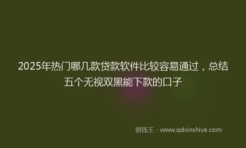 2025年热门哪几款贷款软件比较容易通过，总结五个无视双黑能下款的口子