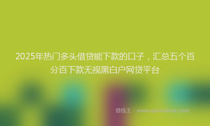 2025年热门多头借贷能下款的口子，汇总五个百分百下款无视黑白户网贷平台