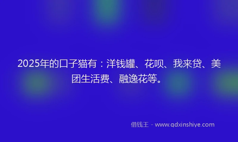 2025年的口子猫有：洋钱罐、花呗、我来贷、美团生活费、融逸花等。