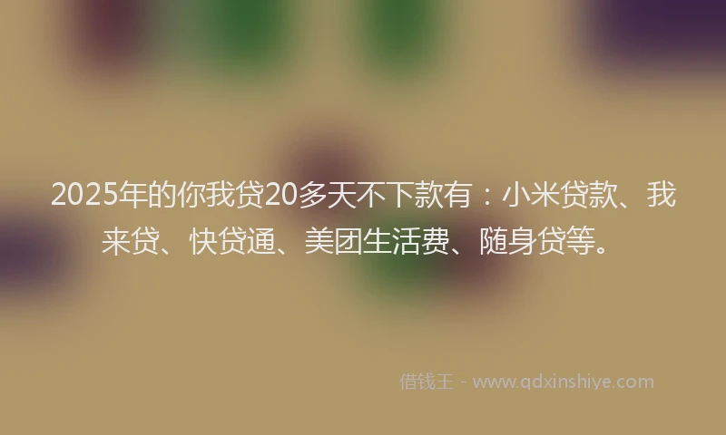 2025年的你我贷20多天不下款有：小米贷款、我来贷、快贷通、美团生活费、随身贷等。