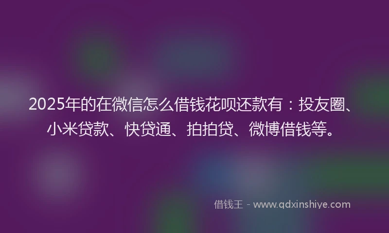 2025年的在微信怎么借钱花呗还款有：投友圈、小米贷款、快贷通、拍拍贷、微博借钱等。