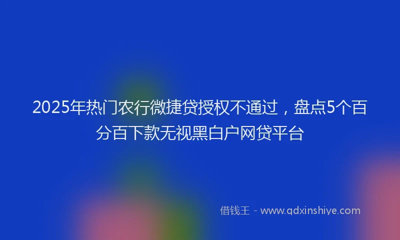 2025年热门农行微捷贷授权不通过，盘点5个百分百下款无视黑白户网贷平台