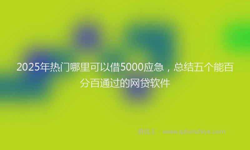 2025年热门哪里可以借5000应急，总结五个能百分百通过的网贷软件