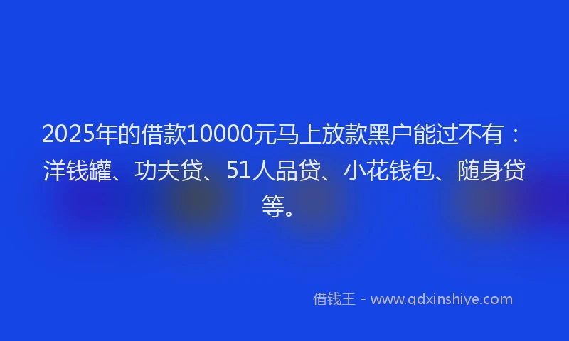 2025年的借款10000元马上放款黑户能过不有：洋钱罐、功夫贷、51人品贷、小花钱包、随身贷等。