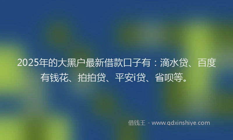 2025年的大黑户最新借款口子有：滴水贷、百度有钱花、拍拍贷、平安i贷、省呗等。