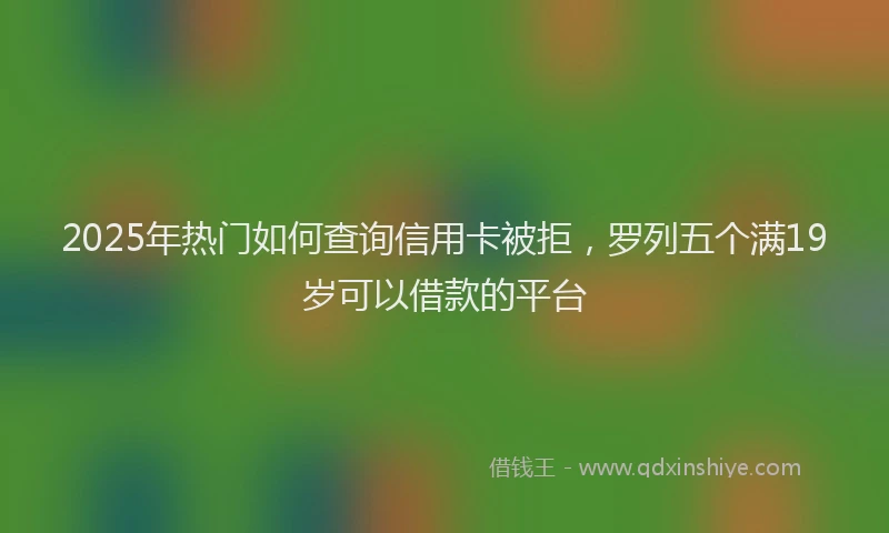 2025年热门如何查询信用卡被拒，罗列五个满19岁可以借款的平台