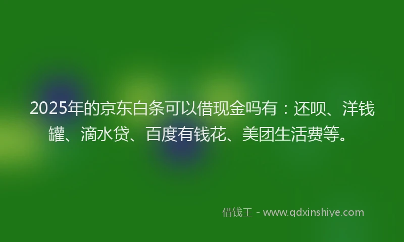 2025年的京东白条可以借现金吗有：还呗、洋钱罐、滴水贷、百度有钱花、美团生活费等。