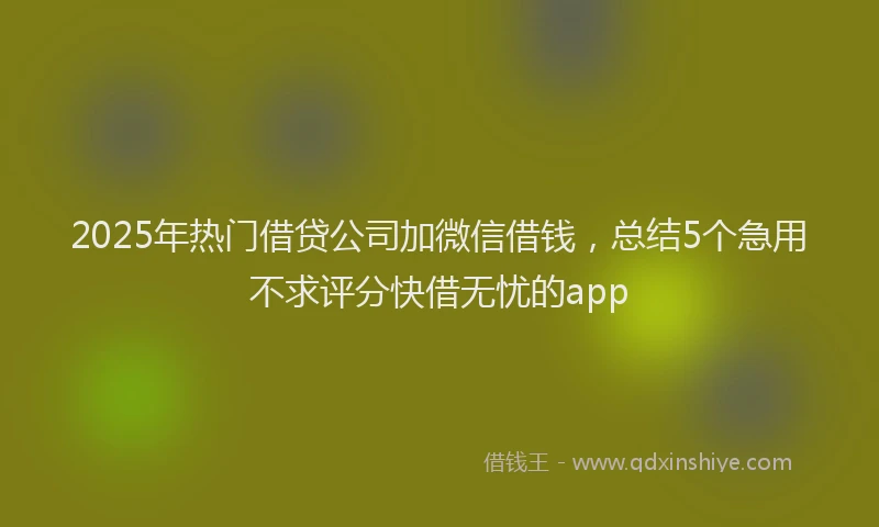 2025年热门借贷公司加微信借钱，总结5个急用不求评分快借无忧的app