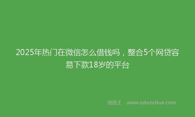 2025年热门在微信怎么借钱吗，整合5个网贷容易下款18岁的平台