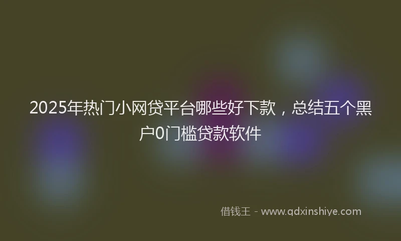 2025年热门小网贷平台哪些好下款，总结五个黑户0门槛贷款软件