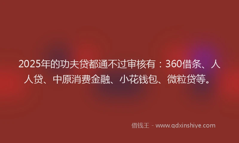 2025年的功夫贷都通不过审核有：360借条、人人贷、中原消费金融、小花钱包、微粒贷等。